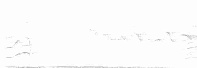 Зозуля білогорла - ML618536820