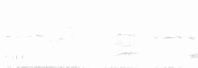 Зозуля білогорла - ML618536821