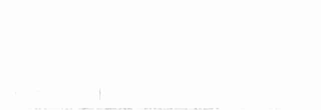 Ak Kaşlı Arapbülbülü - ML618536897