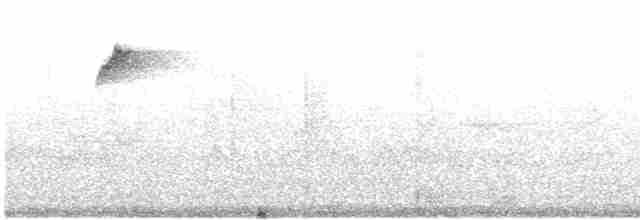 Серая нектарница - ML618536997