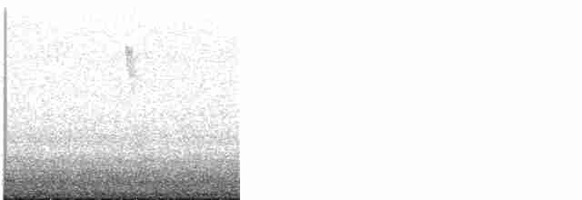 Hooded Warbler - ML618537128