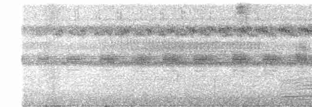 Сова-лісовик бура - ML618537244