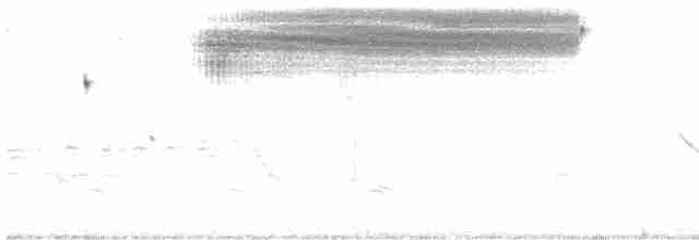 Кузнечиковая овсянка-барсучок - ML618537647