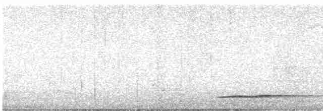 Thicket Tinamou - ML618537781