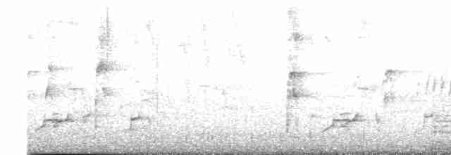 Морщинистоклювая ани - ML618539135