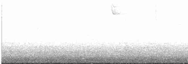 Sperlingsvogel, unbestimmt - ML618539371
