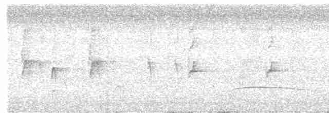 Spot-breasted Wren - ML618539393
