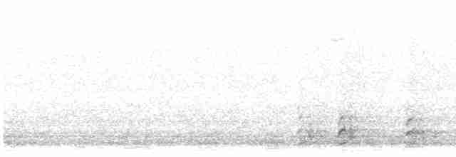 Common Gallinule - ML618539907
