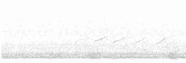Einsiedelwasserläufer - ML618539924