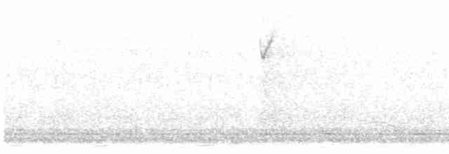 Малая воробьиная овсянка - ML618539964