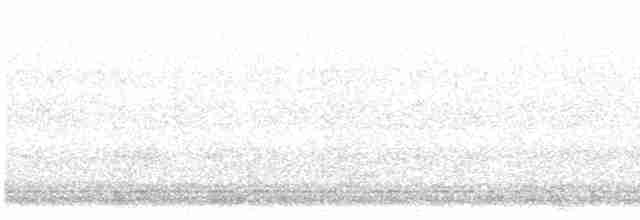 Белогорлая зонотрихия - ML618539981