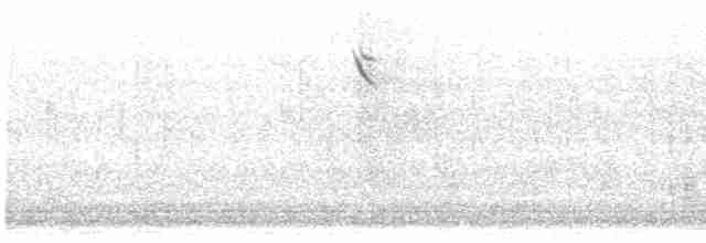 Sperlingsvogel, unbestimmt - ML618540027