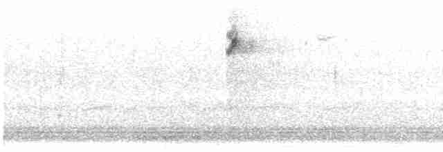 Sperlingsvogel, unbestimmt - ML618540028