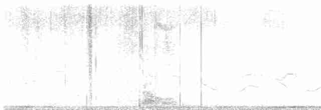 Great Reed Warbler - ML618540781