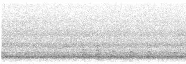 Common Gallinule - ML618541047
