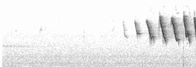 Малая вильсония - ML618541151
