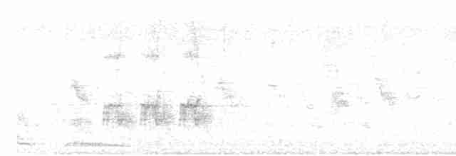 hrdlička kropenatá - ML618541413