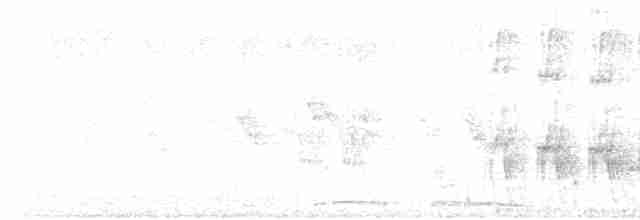 hrdlička kropenatá - ML618541442