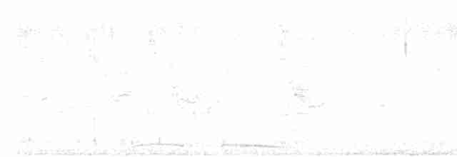 hrdlička kropenatá - ML618541450