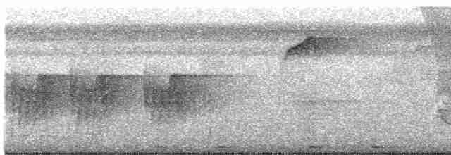 Dark-necked Tailorbird - ML618541747