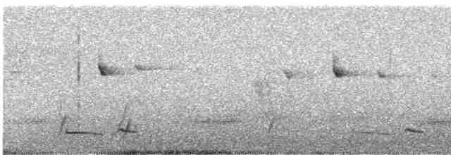 Дрізд-короткодзьоб Cвенсона - ML618541848