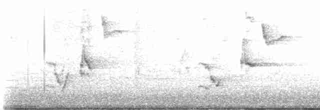 drozdec černohlavý - ML618541970
