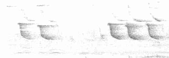 亞洲輝椋鳥 - ML618544121