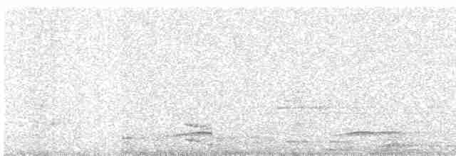 Атласная нектарница - ML618544207