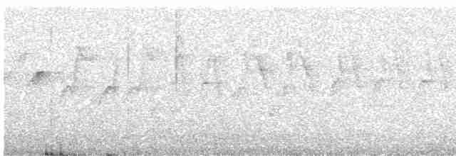 Атласная нектарница - ML618544272