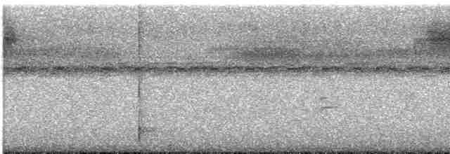 Дрізд-короткодзьоб Cвенсона - ML618545260