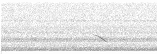 Дрізд-короткодзьоб плямистоволий - ML618545540