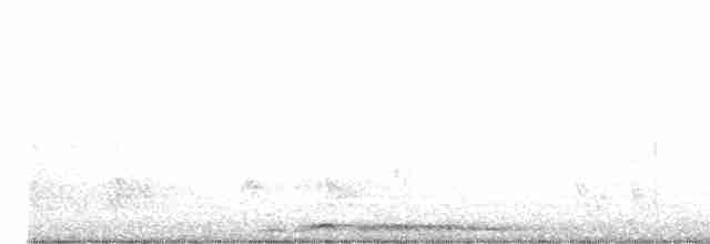 hrdlička kropenatá - ML618545765