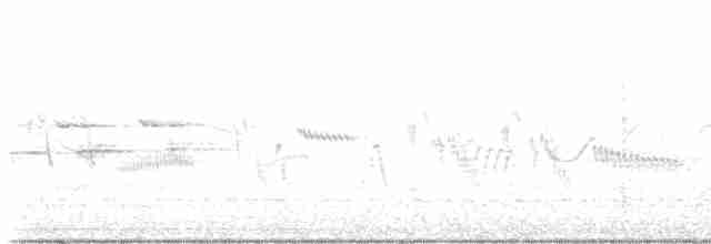 Обыкновенная горихвостка - ML618546191