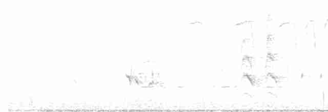 Малая вильсония - ML618546628