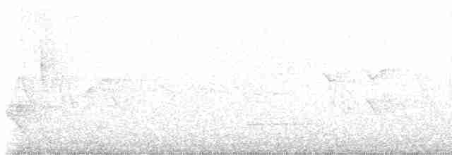 White-eyed Vireo - ML618547732