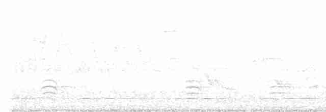 Weißbrustkleiber - ML618548537
