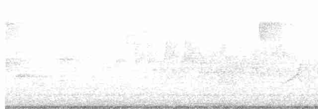 Чернокрылая пиранга - ML618548817