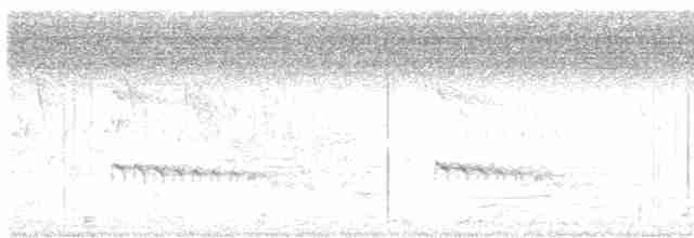 White-throated Kingfisher - ML618549685