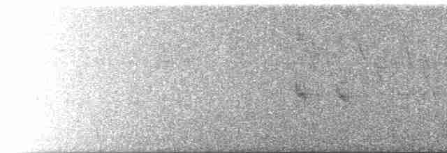Шишкар ялиновий - ML618551403