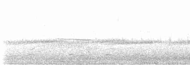 Віреон короткокрилий (підвид bellii/medius) - ML618551518