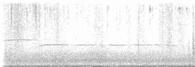 גיבתונית לבנת-גרון - ML618551678