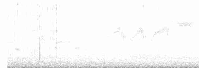 Paruline à calotte noire - ML618553213