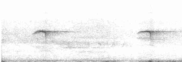 lejsek bělokrký - ML618556195
