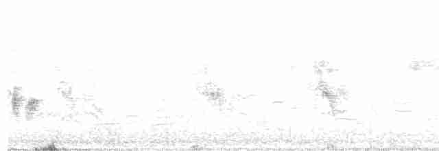 Klappergrasmücke - ML618556440
