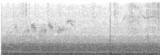 Black-throated Gray Warbler - ML618556585