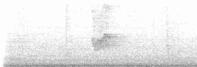 Savannennachtschwalbe - ML618557270