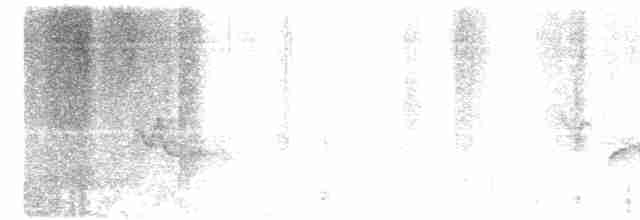 Сероголовый виреон - ML618557391