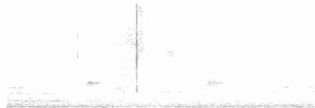 Eurasian Nightjar - ML618557473
