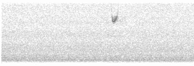 Малая воробьиная овсянка - ML618561253