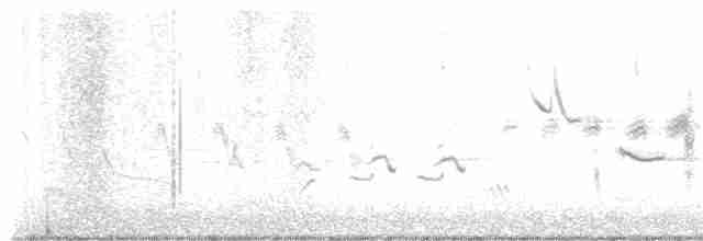 Oriole des vergers - ML618561287